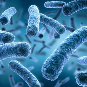 Legionella